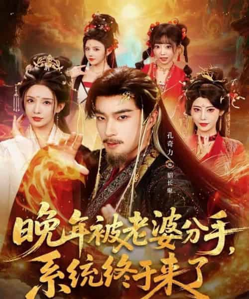 晚年被老婆分手，系统终于来了（80集全）孔奇力＆李若希＆袁颖-海之城短剧项目