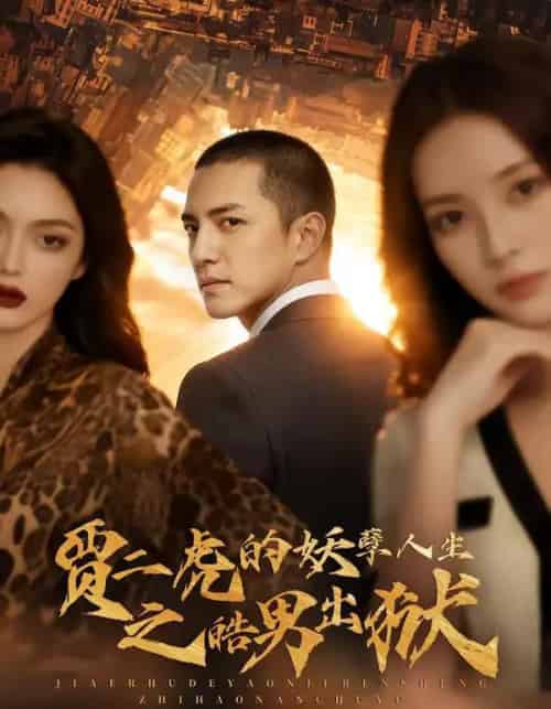 贾二虎的妖孽人生之皓男出狱（75集全）AI-海之城短剧项目