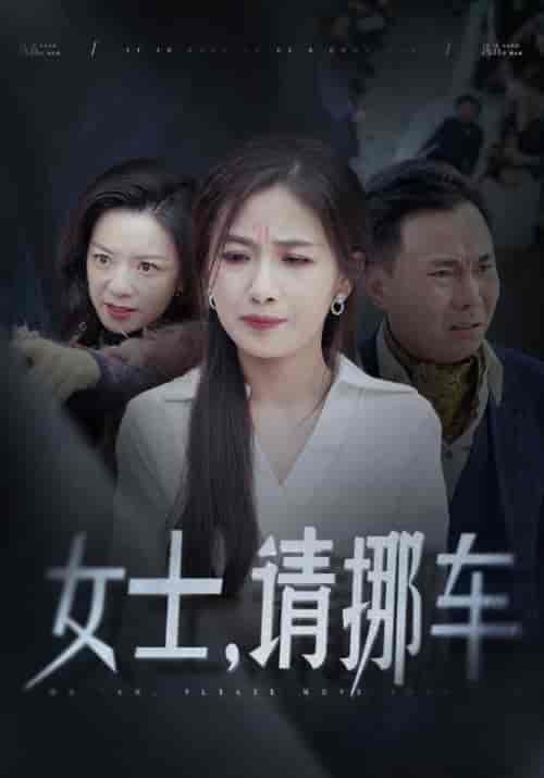 女士请挪车＆善门难开（29集全）张祥玥 - 海之城短剧