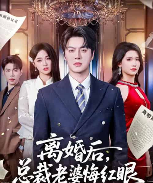 离婚后，总裁老婆悔红眼（61集全）唐幕佳＆徐扬灏-海之城短剧项目
