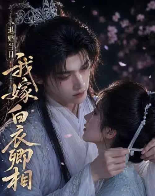 退婚当日我嫁白衣卿相（40集全）AI-海之城短剧项目