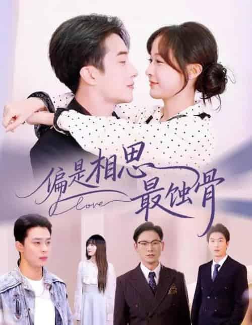 偏是相思最蚀骨＆烬爱无归处（70集全）叶庭＆白野-海之城短剧项目