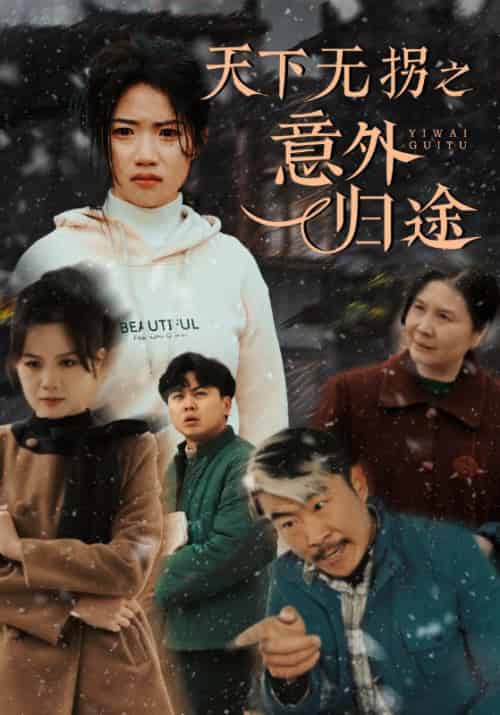天下无拐之意外归途（61集全）高洁慧 - 海之城短剧