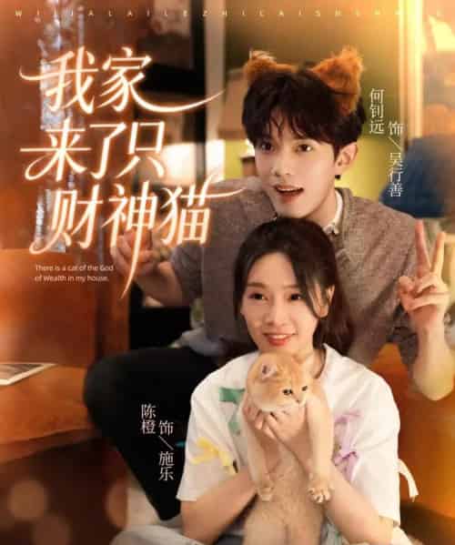 我家来了只财神猫（80集全）何钊远＆陈橙-海之城短剧项目