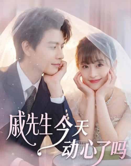 戚先生今天动心了吗（50集全）胥惠棠＆李彬航-海之城短剧项目