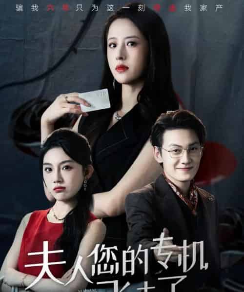 夫人您的专机飞走了（62集全）王婧琦＆陈泓龙-海之城短剧项目