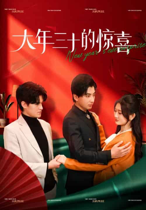 大年三十的惊喜（47集）杨珊子 - 海之城短剧