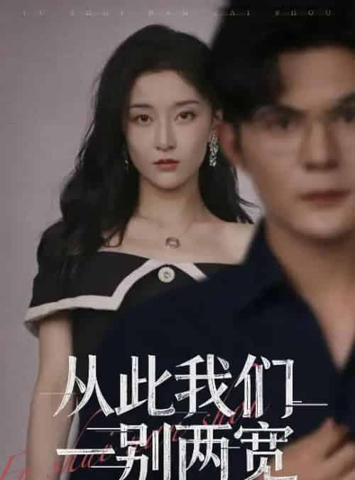 从此我们一别两宽 （60集全） 李珈童＆祈乐-海之城短剧项目