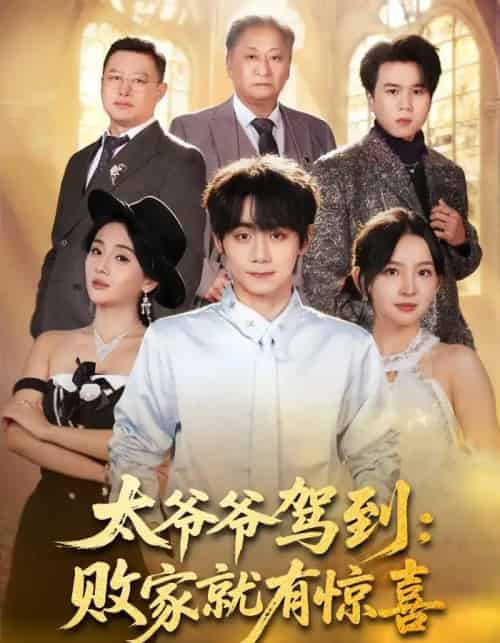 太爷爷驾到：败家就有惊喜（80集全）钟政＆张婉悦-海之城短剧项目