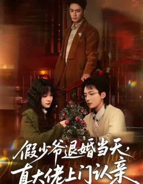 假少爷退婚当天，真大佬上门认亲（50集全）刘海燕＆周宇航-海之城短剧项目