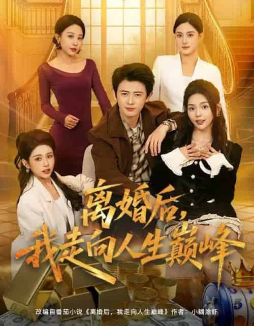 离婚后，我走向人生巅峰（85集全）朱梦茹＆王昭-海之城短剧项目