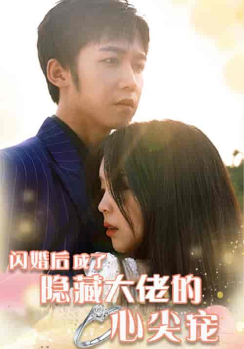 闪婚后成了隐藏大佬的心尖宠（100集全）宴时清＆顾轻轻 - 海之城短剧