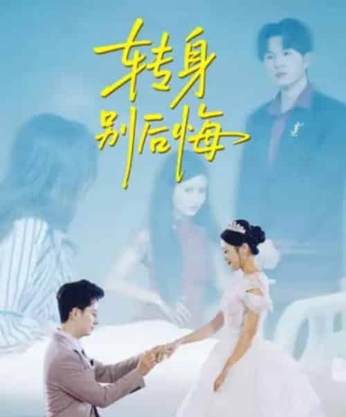 转身别后悔（38集全）嘉乐＆黄立业-海之城短剧项目