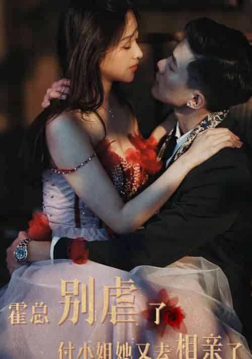 霍总别虐了付小姐她又去相亲了（68集全）9个吻-海之城短剧项目