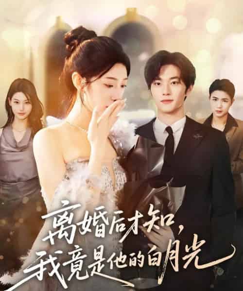 离婚后才知，我竟是他的白月光（64集全）聂文华＆焦爱迪-海之城短剧项目