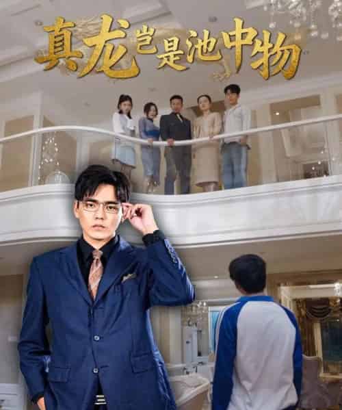真龙岂是池中物（80集全）孙忠杨＆魏灵尧-海之城短剧项目