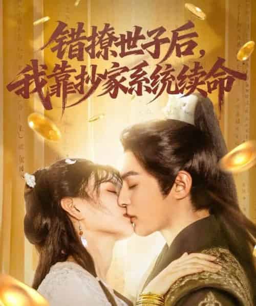 错撩世子后我靠抄家系统续命（60集）黄靖洲（孝太）＆杨帆 - 海之城短剧