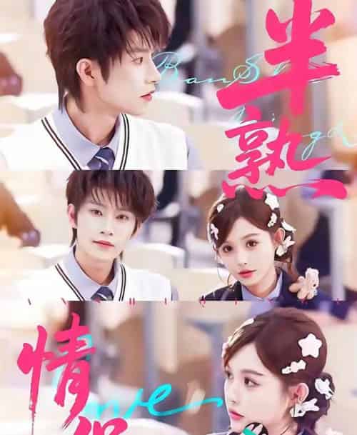 半熟情侣（85集全）黄宥天＆崔晓萱-海之城短剧项目