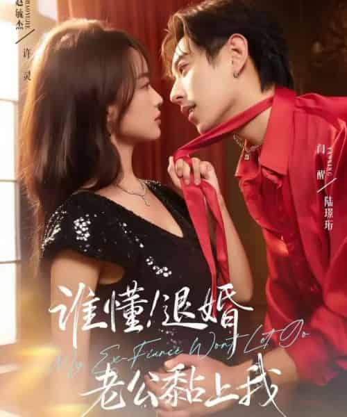 谁懂！退婚老公黏上我（64集全）赵毓杰＆闫醒-海之城短剧项目