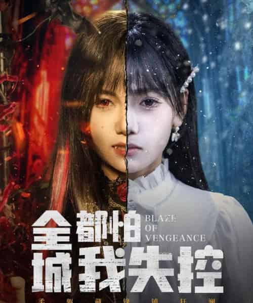 全城都怕我失控＆恶媳的愤怒（60集全）黄小再＆郭澈-海之城短剧项目