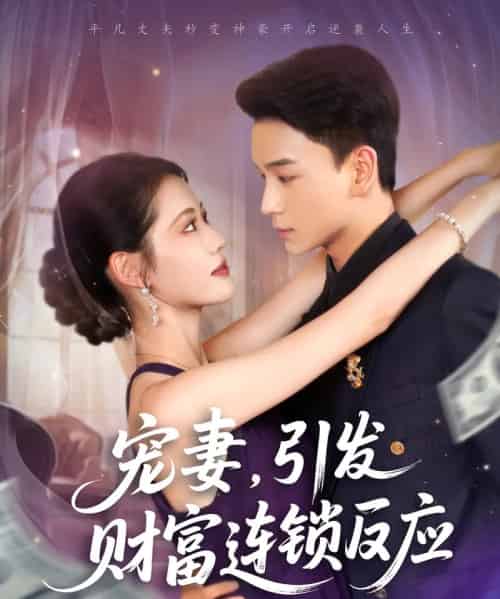 宠妻引发财富连锁的反应（80集）范高坡＆董洁-海之城短剧项目