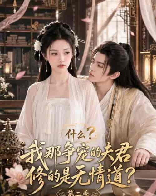 什么？我那争宠的夫君修的是无情道？第二季（91集全）AI短剧-海之城短剧项目
