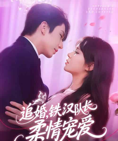 追婚铁汉队长柔情宠爱（95集）景文＆李雪丹 - 海之城短剧