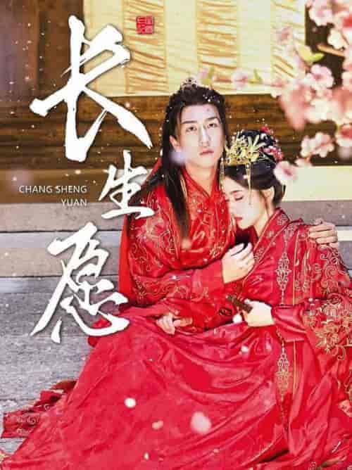 长生愿（80集全）李芊乐 - 海之城短剧