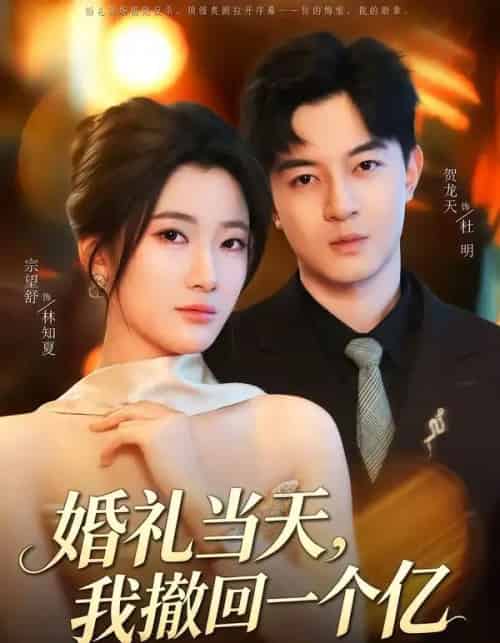 婚礼当天，我撤回一个亿（51集全）宗妍初＆贺龙天-海之城短剧项目
