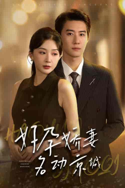 好孕娇妻名动京城（32集全）赵振栋＆初五 - 海之城短剧