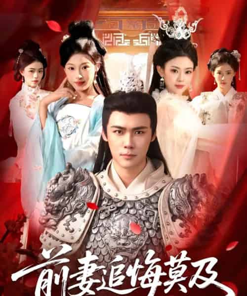 前妻追悔莫及（108集全）王行宇＆董秋怡-海之城短剧项目