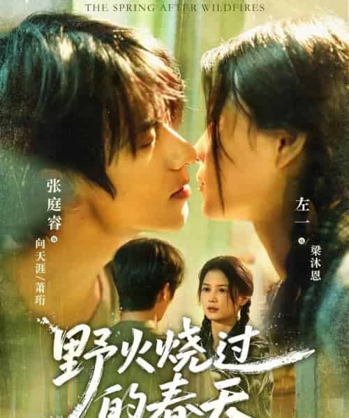 野火烧过的春天（85集全）张庭睿＆左一-海之城短剧项目