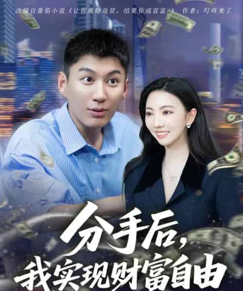 分手后我实现财富自由（80集）晏菡知 - 海之城短剧
