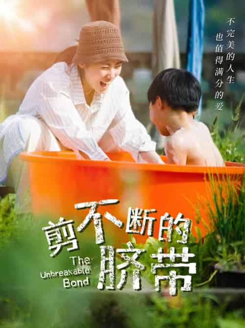 剪不断的脐带 剪不断的脐带