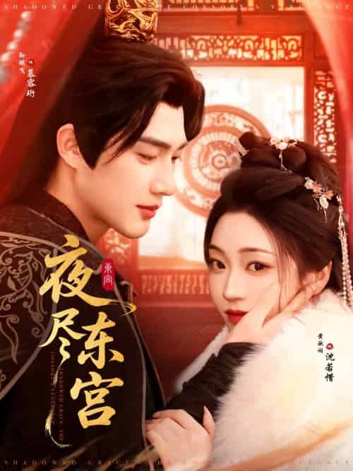 夜尽东宫 夜尽东宫