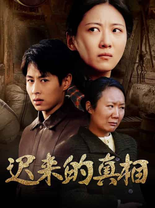 迟来的真相＆因果（57集全） - 海之城短剧
