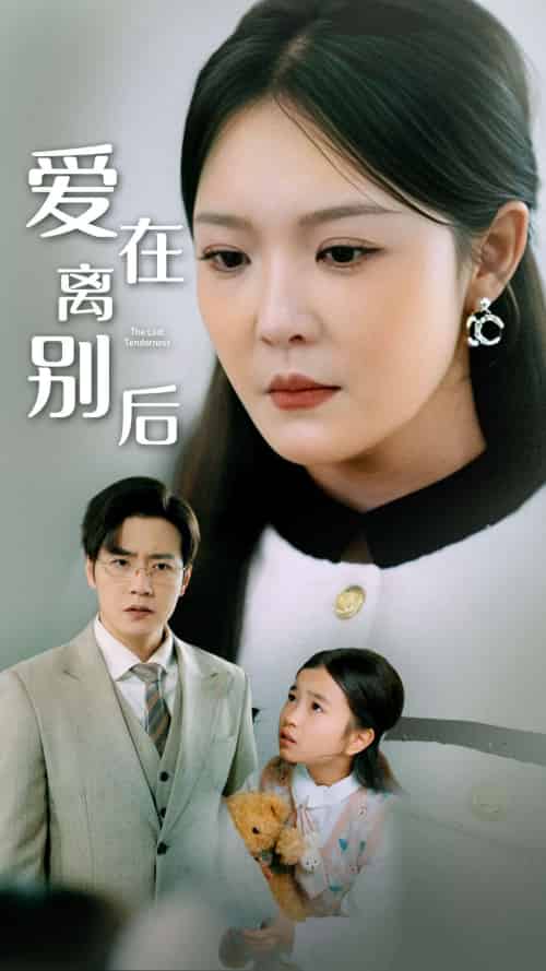 爱在离别后（51集全）李明 - 海之城短剧