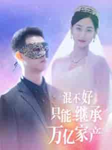 混不好只能继承万亿家产（98集全） - 海之城短剧