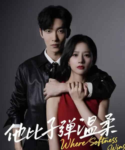 他比子弹温柔（68集全）姚冠宇＆朱丽岚-海之城短剧项目