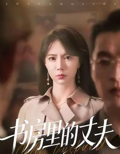 书房里的丈夫（100集全）辛宛柔＆赵焕城-海之城短剧项目