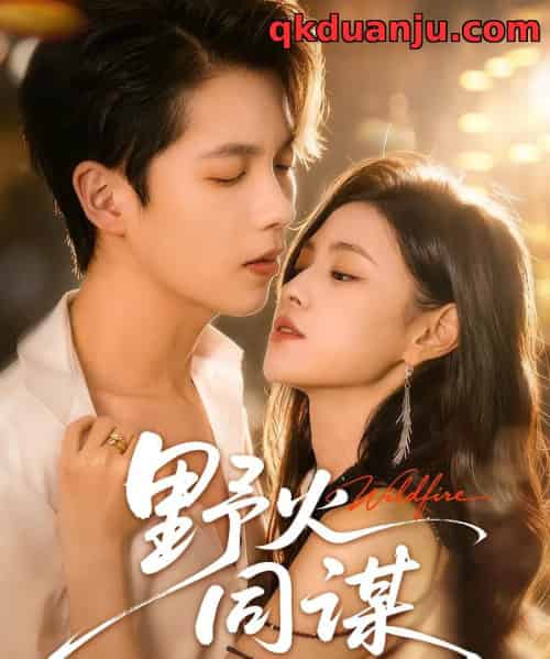 野火同谋（66集全）张星昂＆林薇-海之城短剧项目