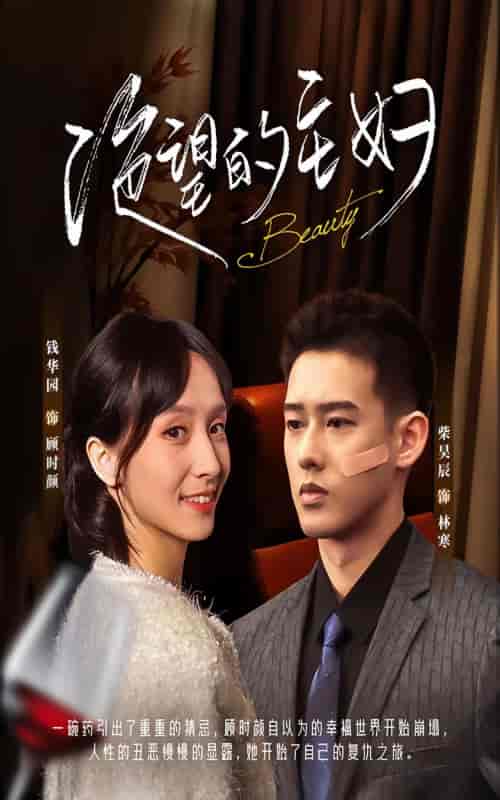 新：绝望的主妇（100集） - 海之城短剧