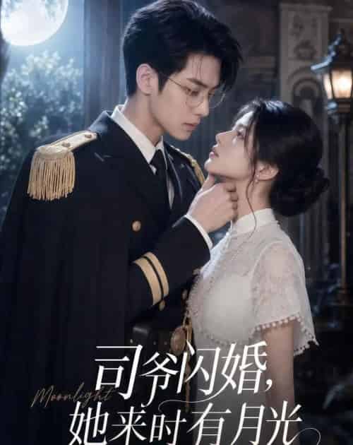 司爷闪婚，她来时有月光（93集全）AI - 海之城短剧