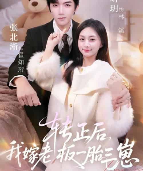 转正后，我嫁老板一胎三崽（62集全）张北淅＆邓昕玥-海之城短剧项目