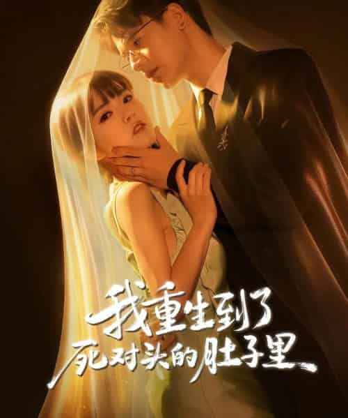 我重生到了死对头的肚子里（55集全）王浩博＆李雪丹-海之城短剧项目