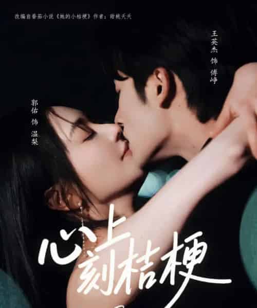 心上刻桔梗（90集）王英杰＆郭佑-海之城短剧项目