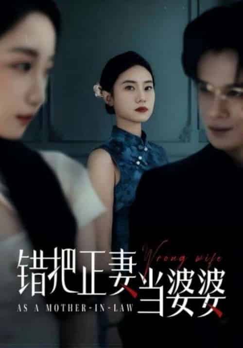错把正妻当婆婆 错把正妻当婆婆