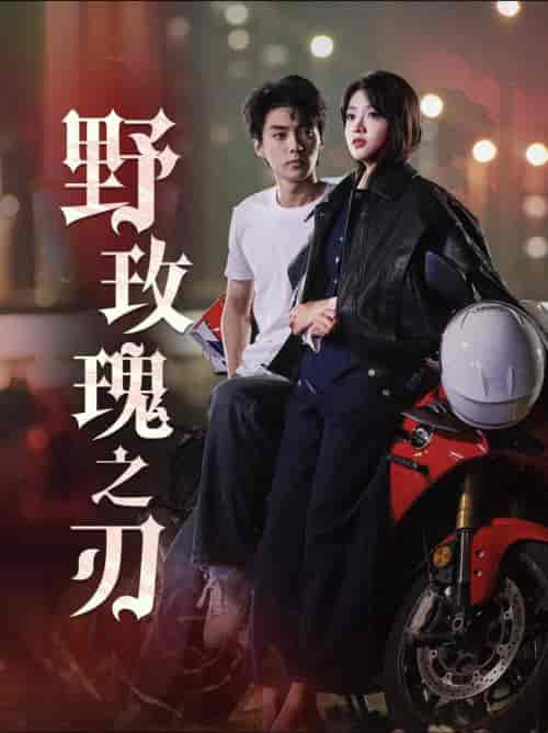 野玫瑰之刃（96集全）刘兰博 - 海之城短剧