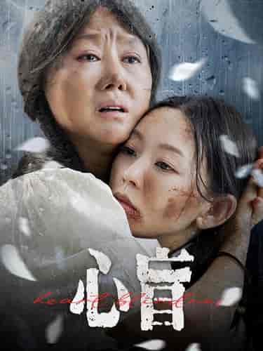 心盲（100集） - 海之城短剧