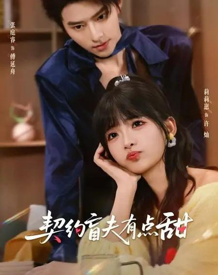 契约盲夫有点甜（63集全）张庭睿＆莉莉崽-海之城短剧项目